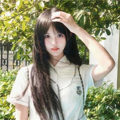蝉蜕