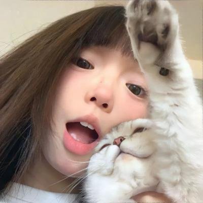 随心所问